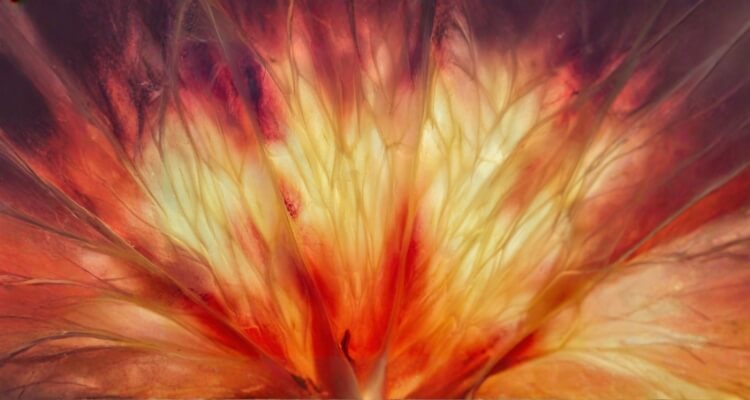 Reiki Master Class serving students traveling from Phoenix and Scottsdale to the Sedona Verde Valley.