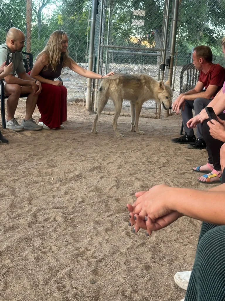 Sedona Wolf Sanctuary
